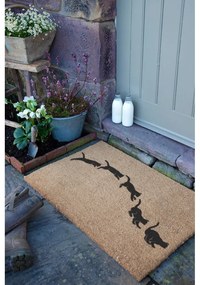 Изтривалка от кокосови влакна 40x60 cm Jumping Cats – Artsy Doormats