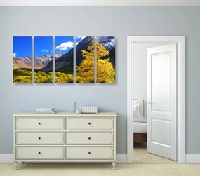 картини от 5 части – Великолепна природа на Камчатка в Русия