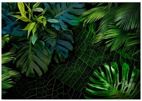 тапети - Dark Jungle 200x140