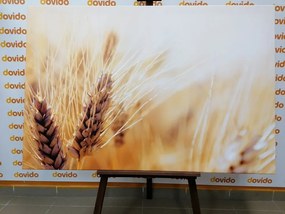 Картина на платно – Пшенично поле