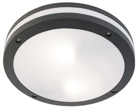 Интелигентна стенна и таванна лампа тъмно сива с Wi-Fi A60 - Glow