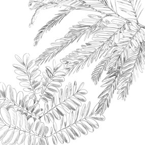 Спално бельо atmosphera Monstera, Памук, 240x220 cm