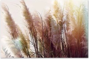 "Soft Pampas" картина на платно цифров печат 125x80x3см.