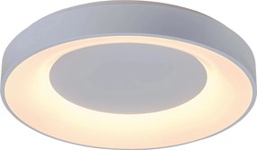 Rabalux Ceilo Таванно осветление (плафони) IP20 LED 38W 3000-6500 3083