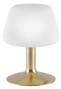 Paul Neuhaus 4078-60 - LED Димируема настолна лампа TILL 1xG9/3W/230V месинг