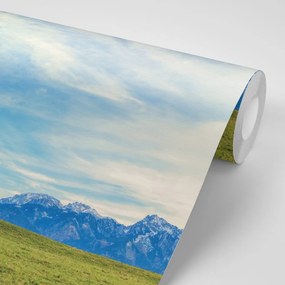 Фототапет – Панорама на планините