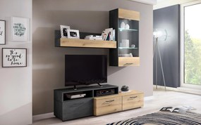 Секция Шели