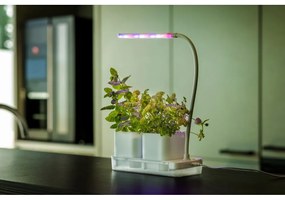 Метален разсадник за растения Lamp – Esschert Design