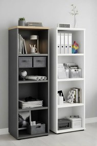 Библиотека Aeris -Leuko