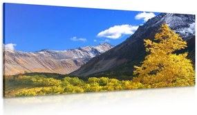 Картина на платно – Прекрасна природа на Камчатка в Русия