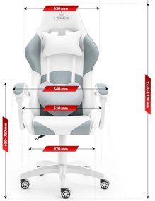 Стилен геймърски фотьойл в бяло-сиво HC RAINBOW