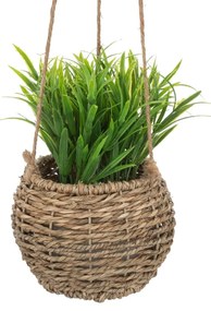 Изкуствено растение atmosphera Zoе, 17 cm, Различни видове