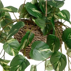 Изкуствени растения в комплект от 2 бр. (височина 50 cm) – Casa Selección