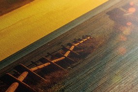 Картина на платно – Вълнуващ залез