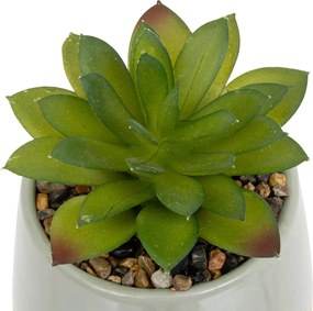 Изкуствено растение atmosphera Be Vintage, 12 cm, Различни видове