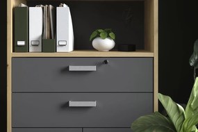 Врати Библиотечкаς Svenson с чекмеджеα