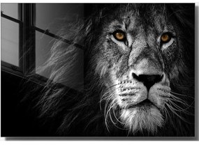 Картина върху стъкло 70x50 cm Lion - Wallity