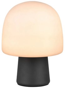 Черно-бяла настолна лампа със стъклен абажур (височина 27 cm) Steen – Trio