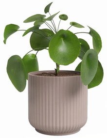 Керамична саксия за цветя ø 19 cm Luna – Artevasi