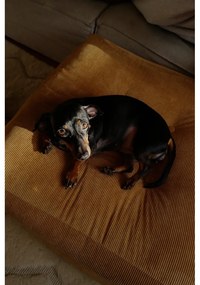 Диван пуф от велур с водорасли More - Karup Design