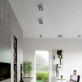 Сив прожектор 27x14 cm Spattio - Sollux