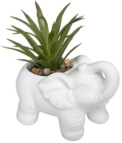 Изкуствено растение atmosphera Elephant, 10 cm, Различни видове