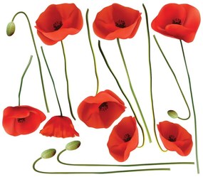 Комплект стикери за стена Vermeil Poppies, 60 x 70 cm - Ambiance