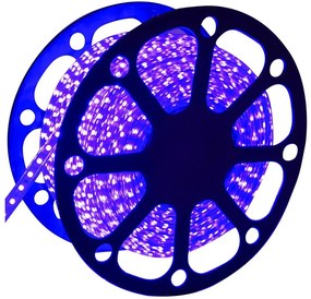 Aigostar - LED Екстериорна лента 50m LED/300W/230V син IP65