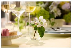 Чаши за шотове в комплект от 4 бр. 60 ml Palermo – Lyngby Glas