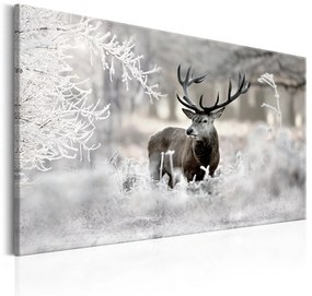 Печат върху платно - Lonely Deer 120x80