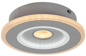 Rabalux 6959 - LED плафон TANELI LED/20W/230V 3000/4000/6000K