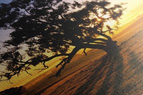 Картина на платно – Самотно дърво при залез