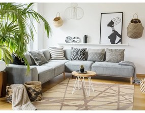 Бежов вълнен килим 100x180 cm Sticks - Agnella