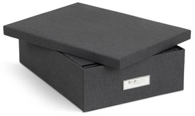 Картонени органайзери за докумнети в комплект от 5 бр. Holger – Bigso Box of Sweden