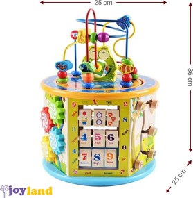 Детско занимателно кубче Joyland Playful