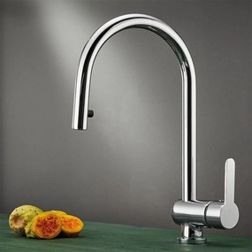 Смесител за кухня Carron Phoenix Base I