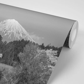 Фототапет – Връх Фуджи в черно-бяло