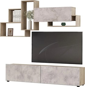 Секция Зария