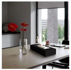 BIO камина INDIA/MAX 10x67 см, 3kW, черна серия TUV