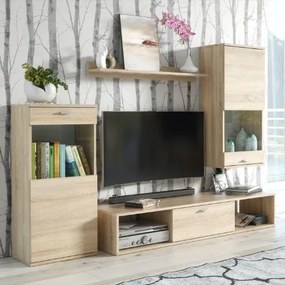 Холна секция Rico