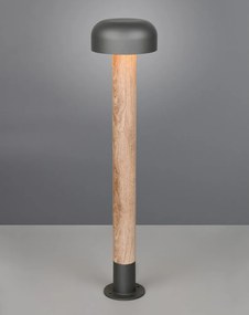 Колонно външно осветително тяло ø 19 cm Fraser – Trio