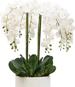 Изкуствено растение atmosphera Orchid Hotel, 115 cm, Керамика