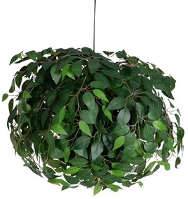 Бохемски таванен полилей зелен 3-светлинен - Leavy