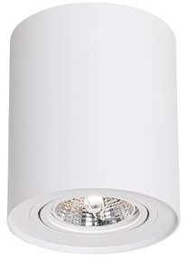 Модерен таванен прожектор бял въртящ се и наклонен AR70 - Rondoo Up