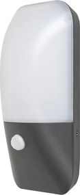 Rabalux Ecuador Външно стенно осветление IP54 LED 10W 4000K 7997