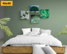 Комплект картини – Природа, пълна със зеленина