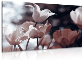 Картина на платно – Пролетни лалета в парка