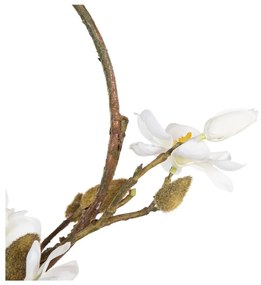 Венец Magnolia – Ixia