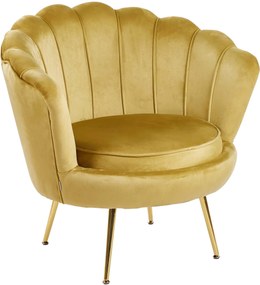 Фотьойл Moli-Жълто