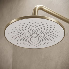 Кръгла душ глава REA JS-021 Gold Brush